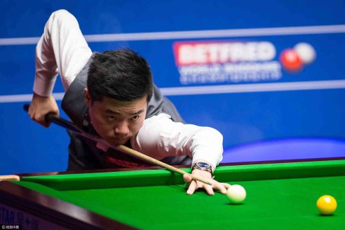 霍勒迪的感 霍勒迪的感