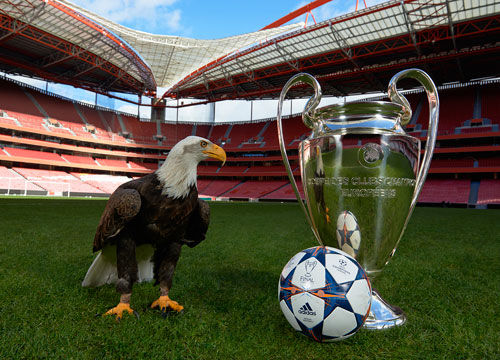 标围绕10 标围绕10